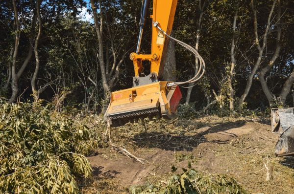 Brush Removal Service in Las Cruces