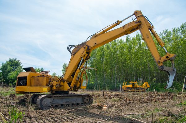 Cost of Farm Clearing in Las Cruces
