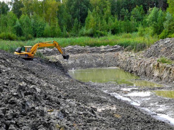 Cost of Lake Lot Clearing in Las Cruces