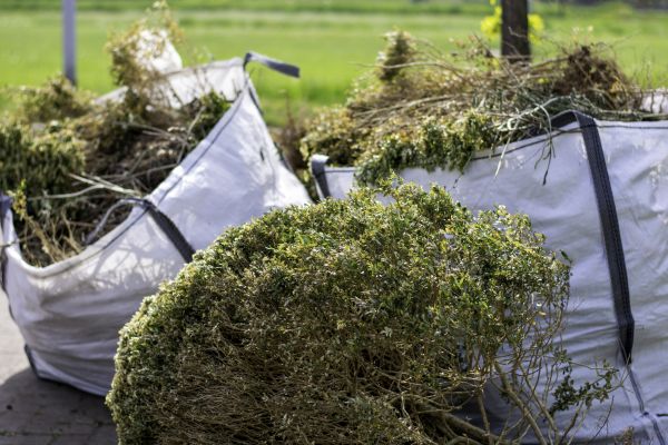 Cost of Bushes Clearing in Las Cruces