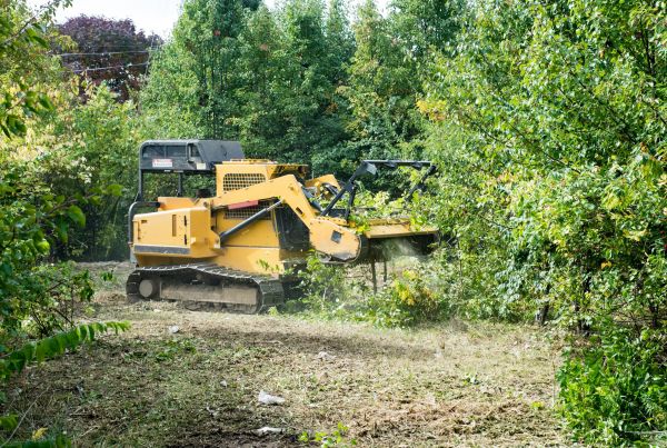 Cost of Pathway Clearing in Las Cruces