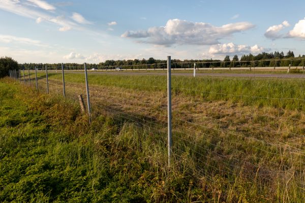 Cost of Property Line Clearing in Las Cruces