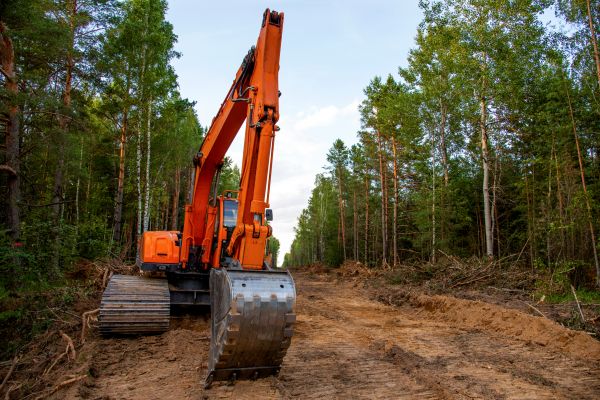 Cost of Backhoe Land Clearing in Las Cruces