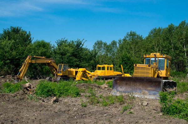 Cost of Bulldozer Clearing in Las Cruces