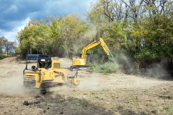 Cost of Terrain Clearing in Las Cruces