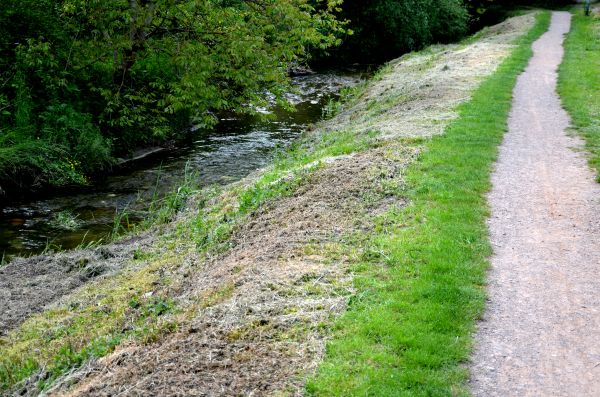 Cost of Trail Cutting in Las Cruces