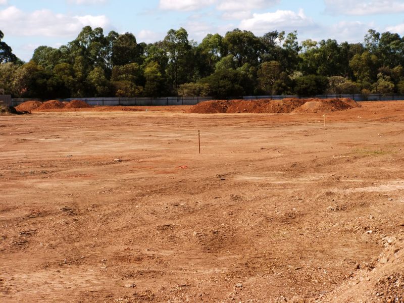 Building Site Clearing detail